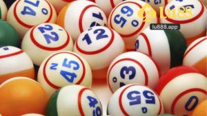 Đề 4 Càng Là Gì