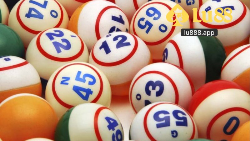 Đề 4 Càng Là Gì